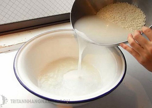 Trị tàn nhang bằng nước vo gạo đơn giản tại nhà